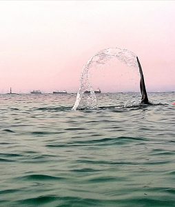 sea mermaid